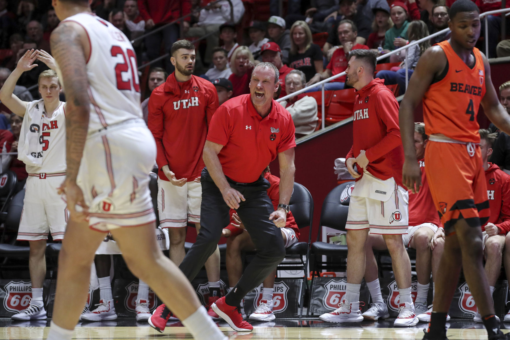 Oregon St Utah Basketball
